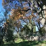 Agroturismo Val D'olivi Capodacqua (Assisi)